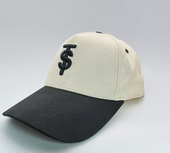 TS Logo Hat